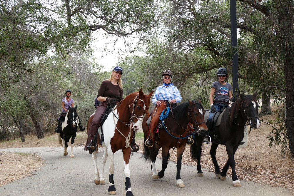 Contact Us Ronald Reagan Equestrian Campground